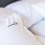 Chillzone-hill * Szalejow Gorny