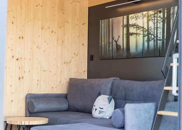 Chillzone-hill Szalejow Gorny